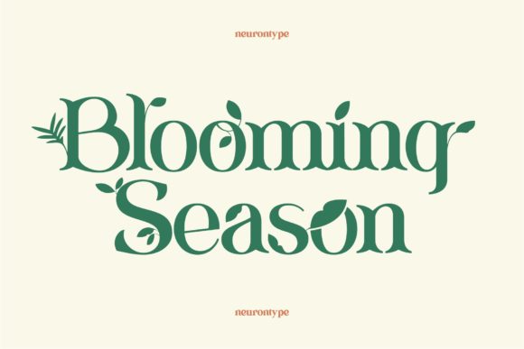 Blooming Season: A Spring Display Font Review