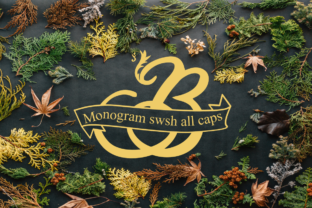 Monogram Swsh: A Premium Display Font for Web Design