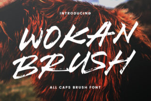 Wokan: A Playful Display Font for Web Design
