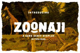 Zoonaji: A Quirky Display Font for Web Design